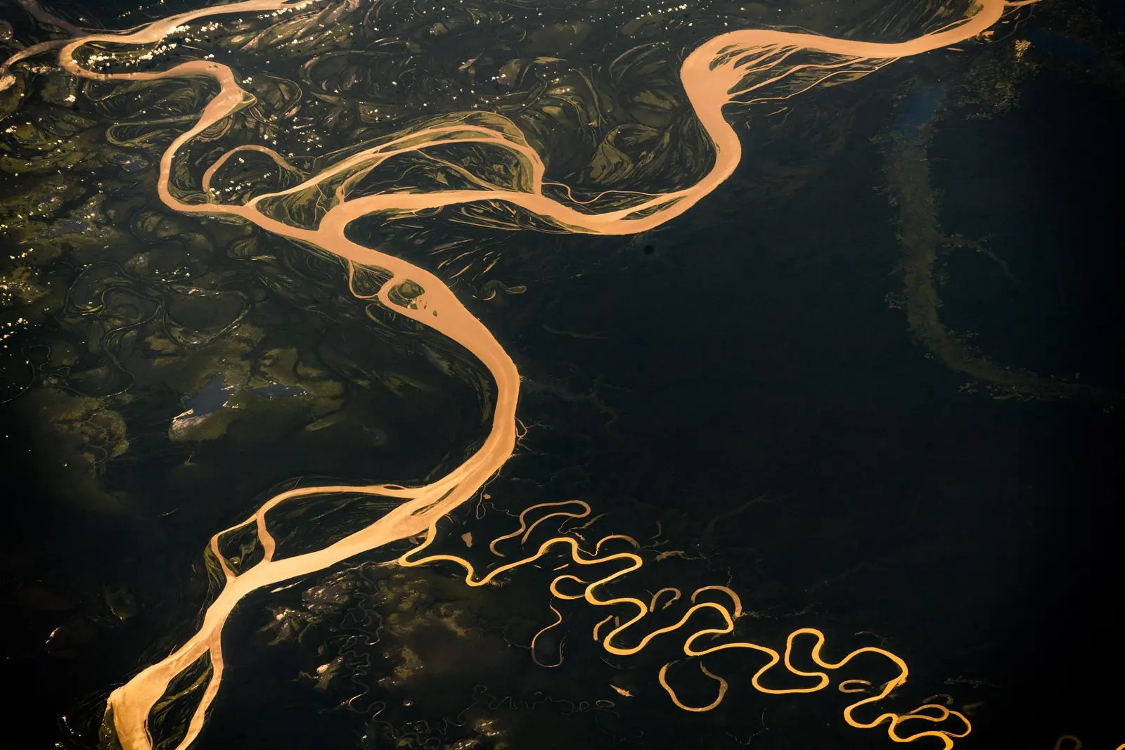 The Amazon river seen from above, at golden hour