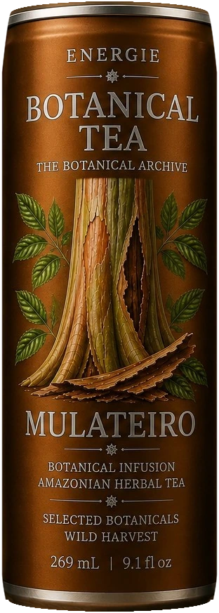 Botanical Tea Mulateiro